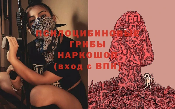 apvp Богданович