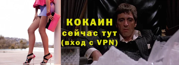 ПСИЛОЦИБИНОВЫЕ ГРИБЫ Сатка