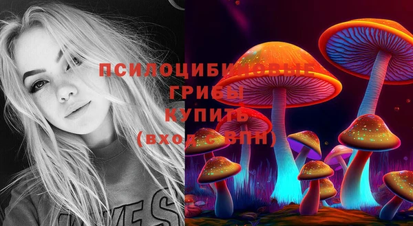 СК Богородск